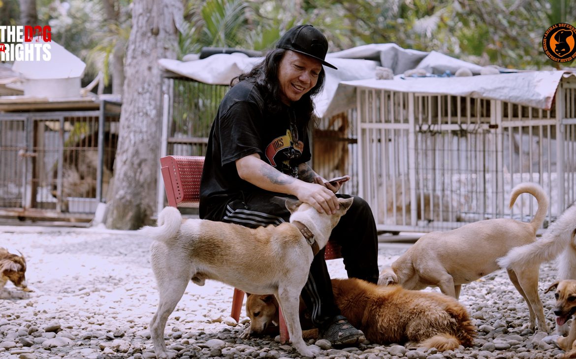 THE DOG COPYRIGHTS: Bantu Anjing terlantar semudah menyebut namanya