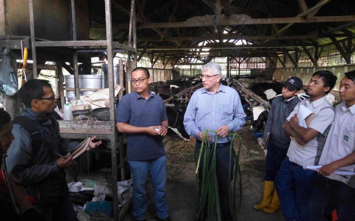 Proyek sepuluh tahun Dairy4Development di Indonesia berhasil diselesaikan