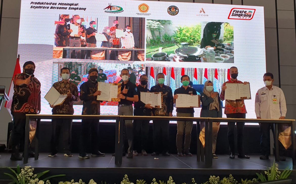 Yasin Limpo ‘Fiesta Singkong 2021’, Saatnya Singkong Unjuk Potensi Kuliner Indonesia Mendunia