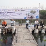 Tanam 1.000 Mangrove hingga Perkuat Literasi Keuangan, Zurich Hadirkan Aksi “Sayang Bumiku”